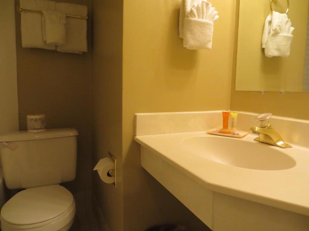ג'ספר Athabasca Hotel חדר תמונה
